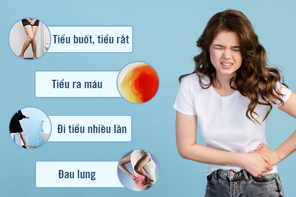 Biện pháp hỗ trợ điều trị viêm đường tiết niệu ở nữ hiệu quả