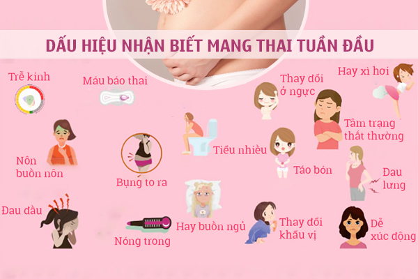Dấu hiệu mang thai sớm là gì? Địa chỉ kiểm tra thai uy tín