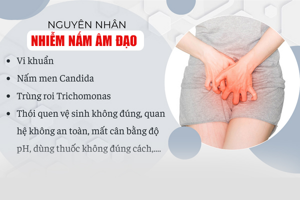 Nấm âm đạo là bệnh gì? Nguyên nhân và cách chữa trị
