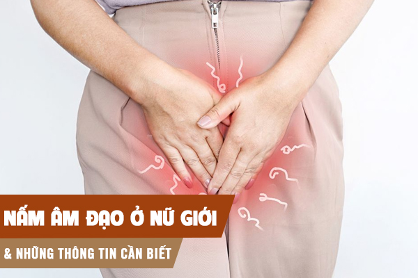 Nấm âm đạo là bệnh gì? Nguyên nhân và cách chữa trị