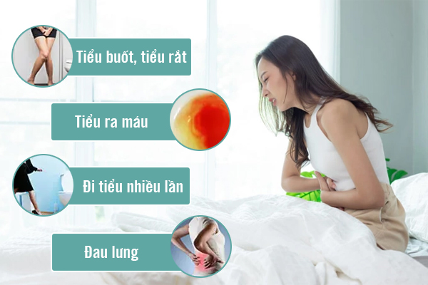 Nhiễm khuẩn đường tiết niệu: Dấu hiệu nhận biết và cách chữa trị