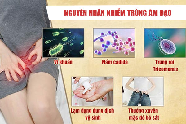 Nhiễm trùng âm đạo: Nguyên nhân, triệu chứng và cách chữa trị