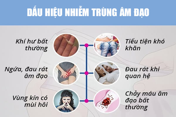 Nhiễm trùng âm đạo: Nguyên nhân, triệu chứng và cách chữa trị