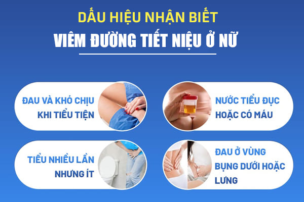 Viêm đường tiết niệu nữ: Nguyên nhân, dấu hiệu và cách chữa trị