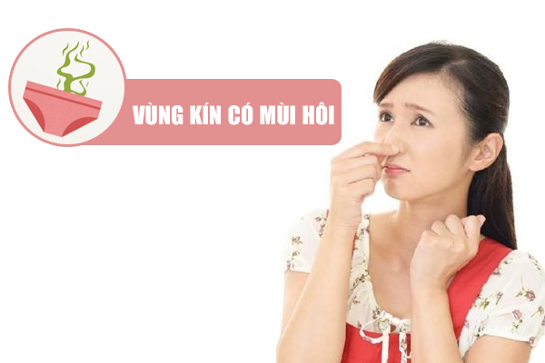Tại sao vùng kín có mùi hôi? Địa chỉ chữa hôi vùng kín uy tín