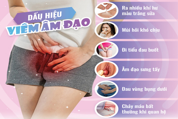 Tại sao vùng kín có mùi hôi? Địa chỉ chữa hôi vùng kín uy tín